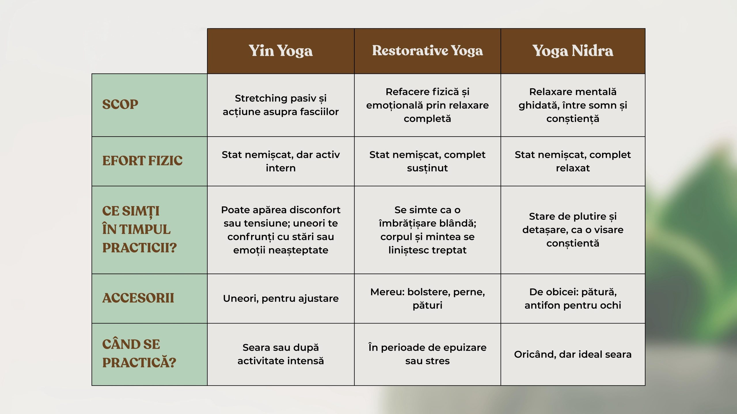 tabelComparativYin_YogaPass